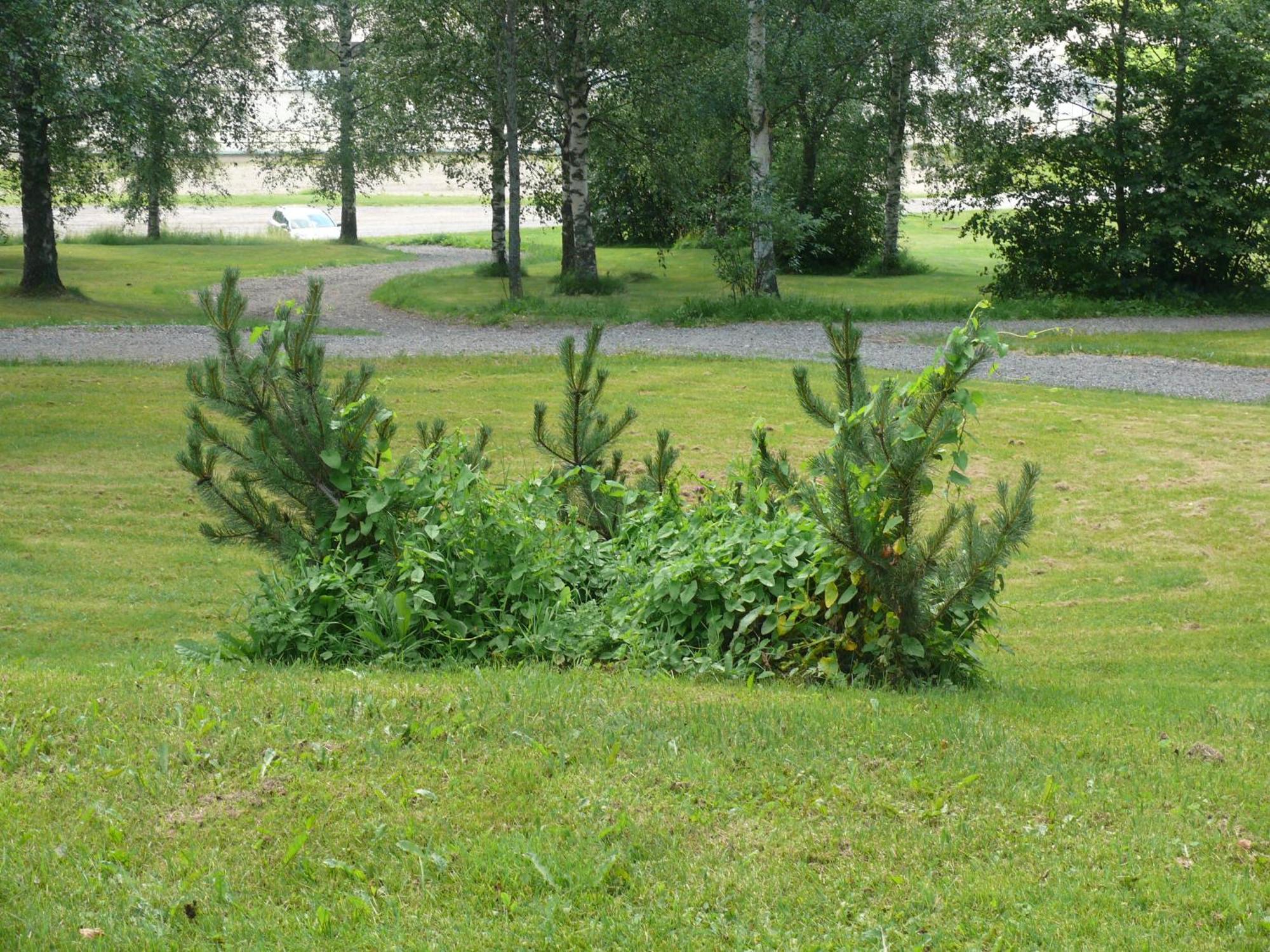 Huoneistohotelli Domusvirrat Kültér fotó